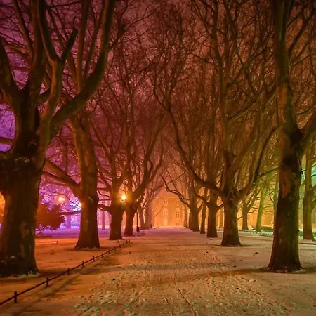 Apartment Przytulny *