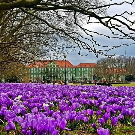 Przytulny *