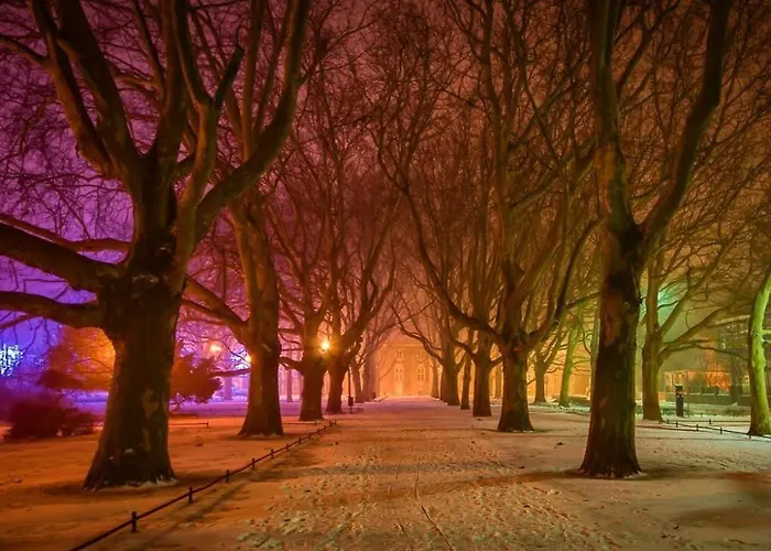 Apartamento Przytulny *